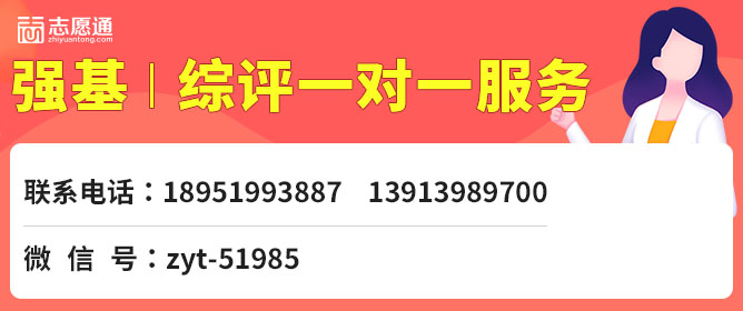 飞龙在天 第323页