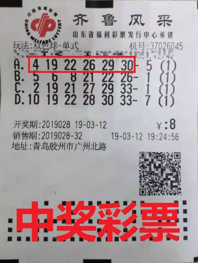 管家婆的资料一肖中特，揭秘背后的神秘与智慧管家婆1肖中特