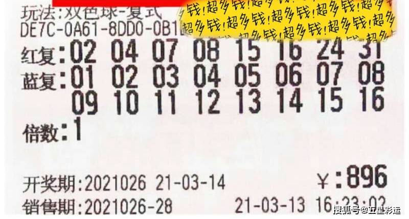 今年新 第306页