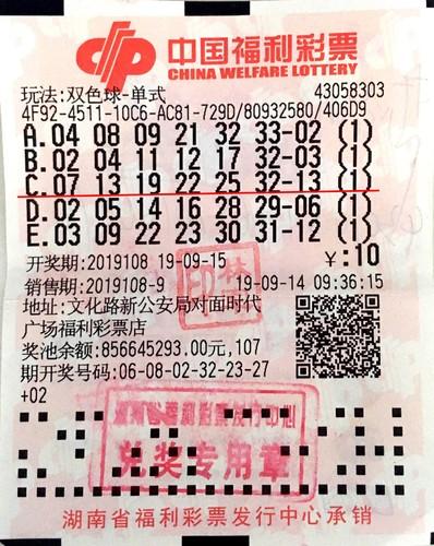 双色球字谜图谜全解析，解锁幸运密码的智慧之旅双色球最新字谜图谜大全汇总解释李向阳是什么人物