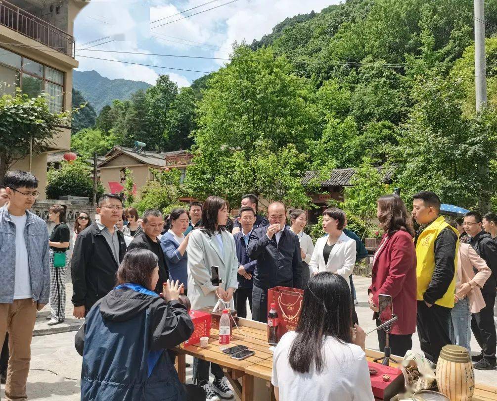澳门新开奖现场直播，见证幸运时刻的精彩回放新澳门开奖现场直播结果开奖录像下载