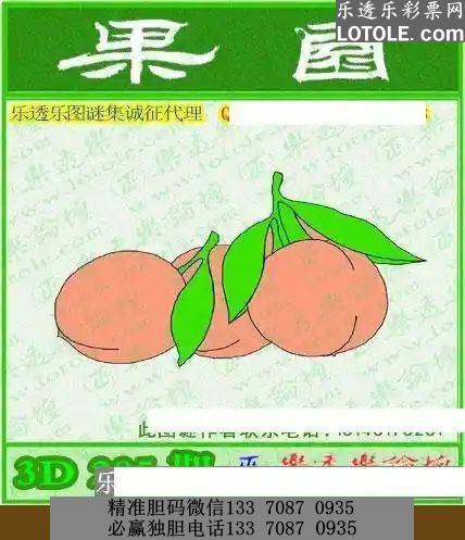 2046新澳最精准资料大全,解锁未来趋势的钥匙澳门新彩