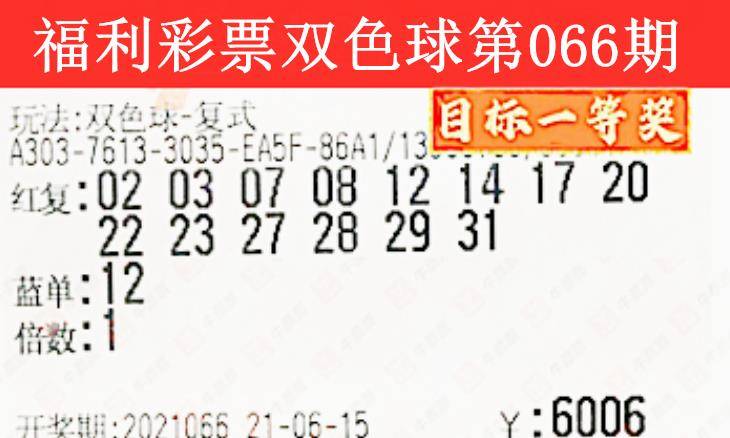 探索双色球2007065，数字背后的幸运与希望双色球2007065期开奖结果