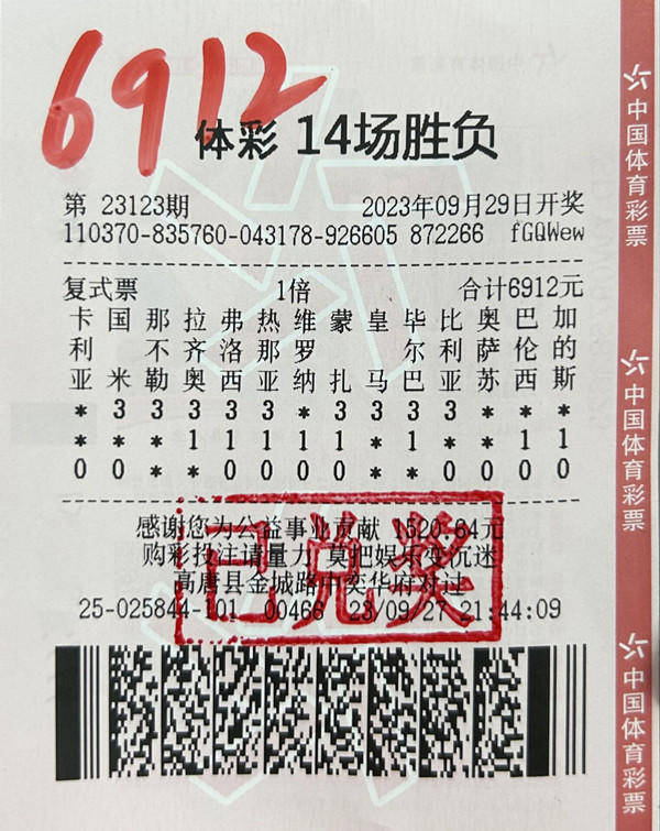 体育彩票14场胜负彩，梦想与智慧的碰撞体育彩票14场胜负彩结果