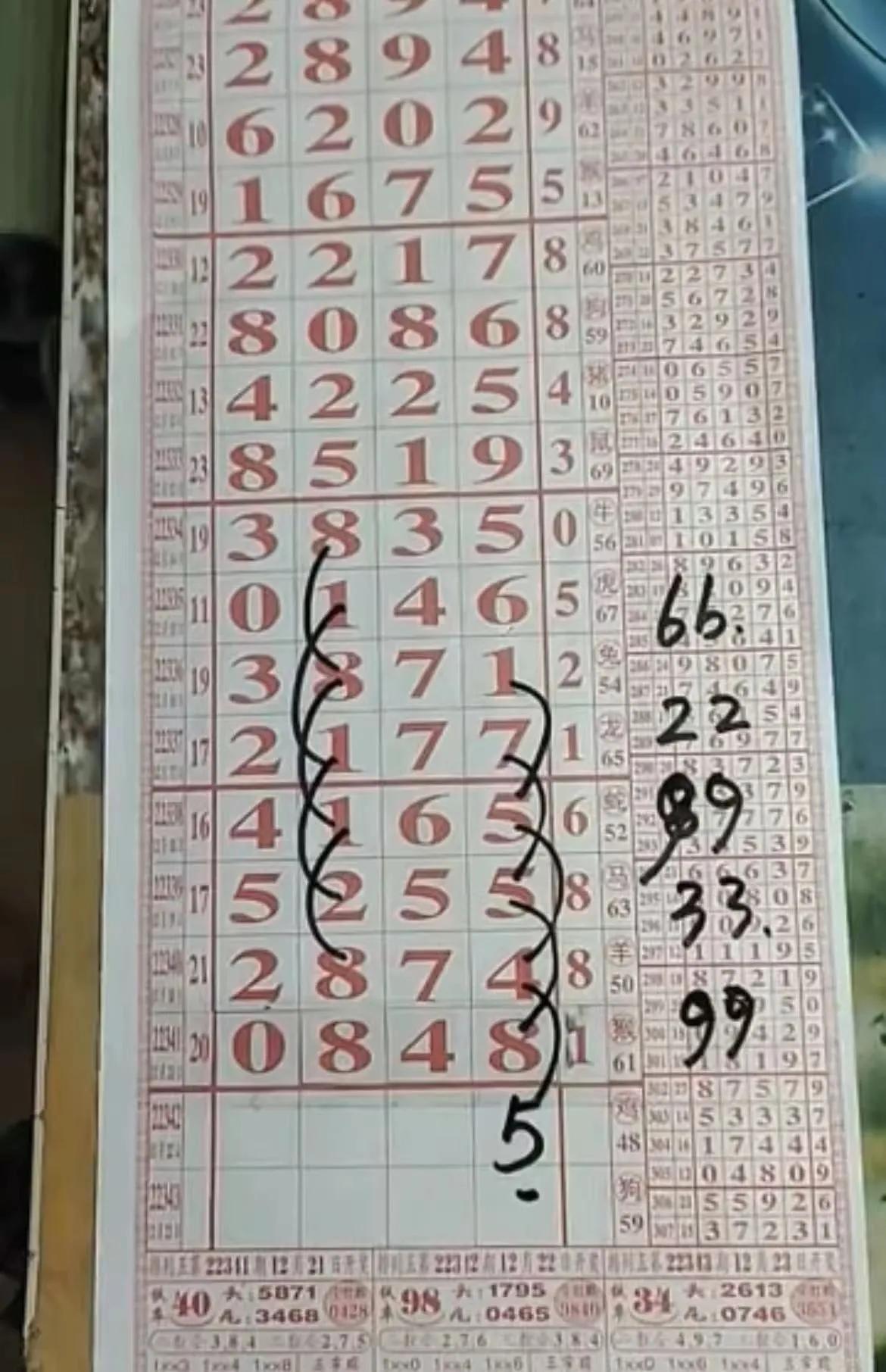 浙江体彩12选五走势图，数字背后的智慧与乐趣浙江体彩12选五走势图表