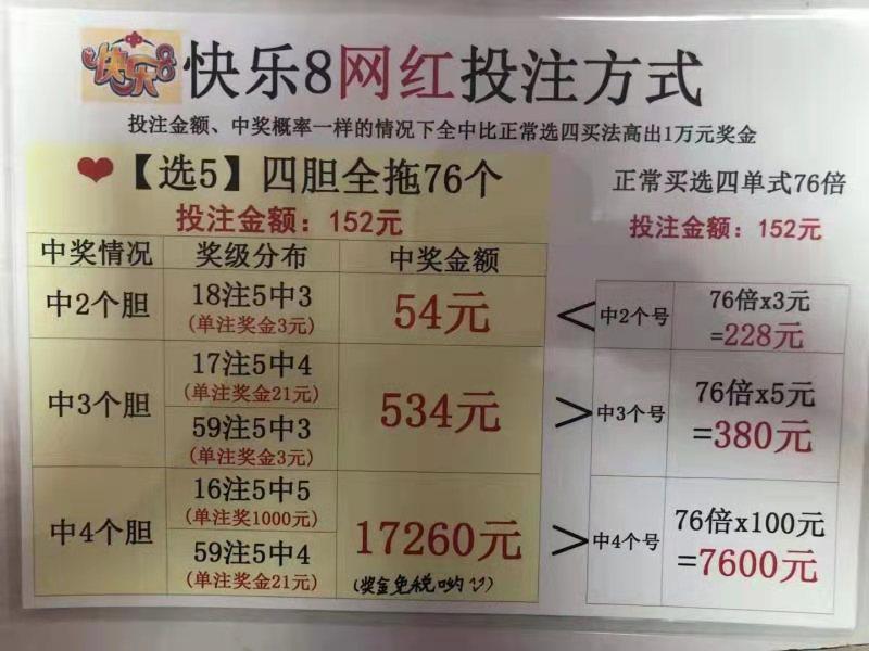 探索双色球复式胆拖投注的奥秘，中奖计算器的神奇之旅双色球复式胆拖中奖计算器查询