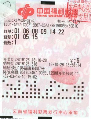 福利彩票双色球开奖结果218，梦想与现实的交汇双色球218期开奖结果