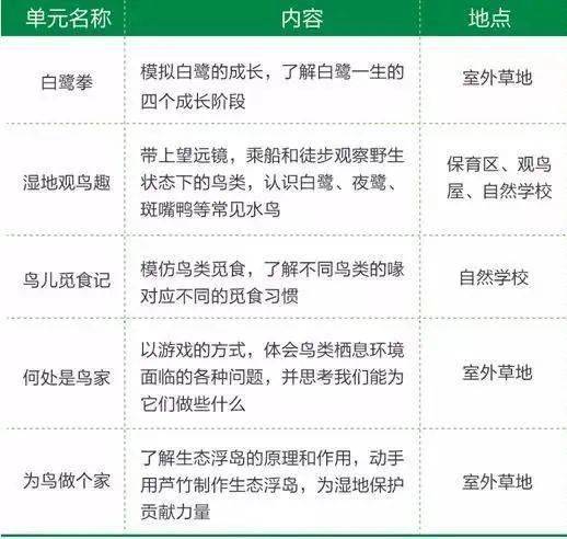 探索数字的奥秘，20选5开奖结果号码的奇妙世界20选5开奖结果号码多少
