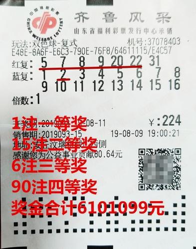 齐鲁风采彩票双色球，梦想与希望的色彩碰撞齐鲁风采彩票双色球结果查询