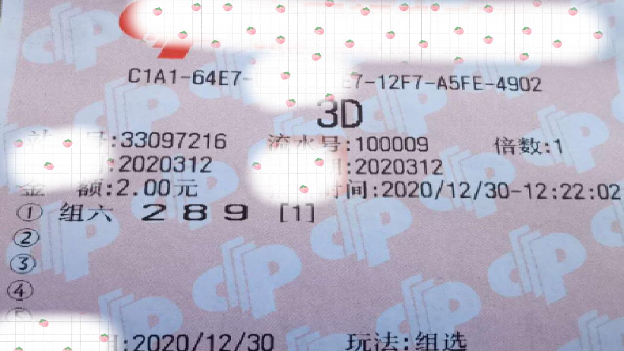 探索中国体彩3D，数字游戏中的智慧与乐趣中国体彩3d开奖结果查询