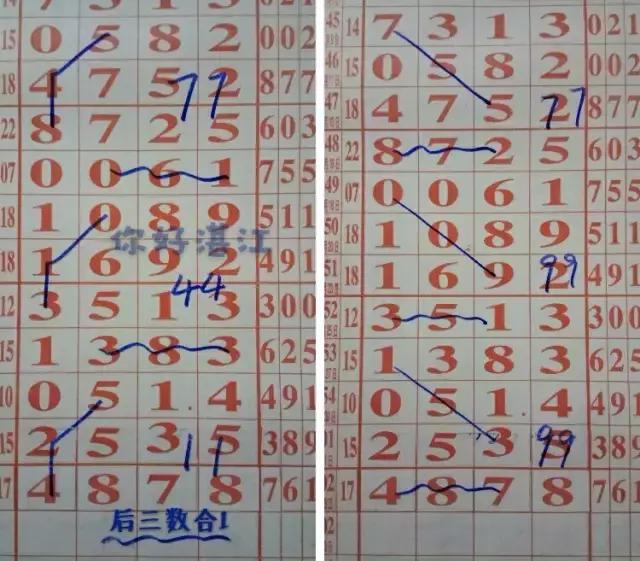 湛江七星彩，点亮城市夜空的幸运之光湛江七星彩开奖结果