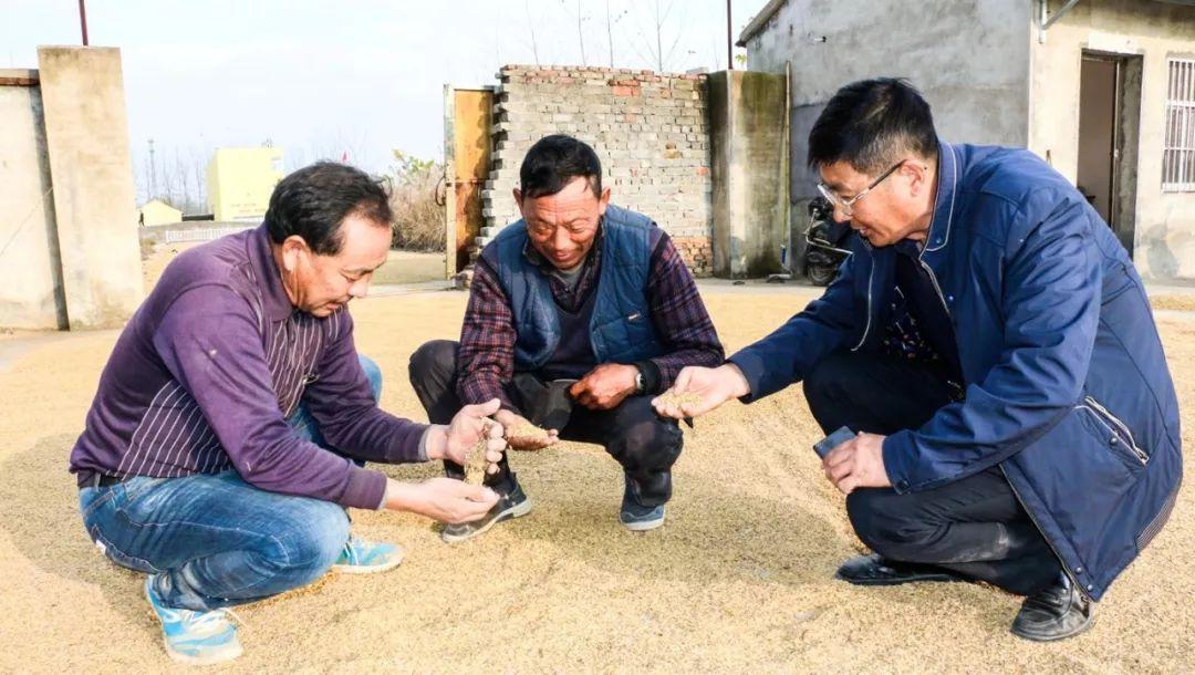 网上管家婆软件官方网站，中小企业管理的智慧之选网上管家婆app下载