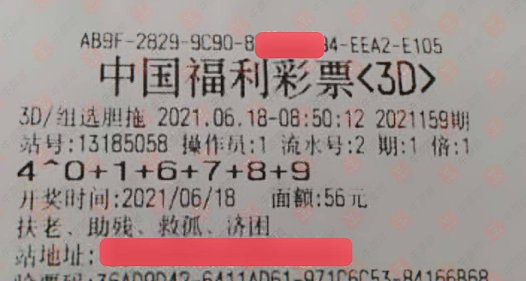 彩票大全详解，从基础到进阶的全面指南彩票大全详解3d