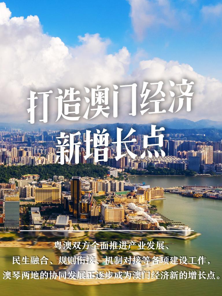 澳门2035年精准资料大全，探索未来之城的多元魅力澳门2023年精准资料大全聚宝盆