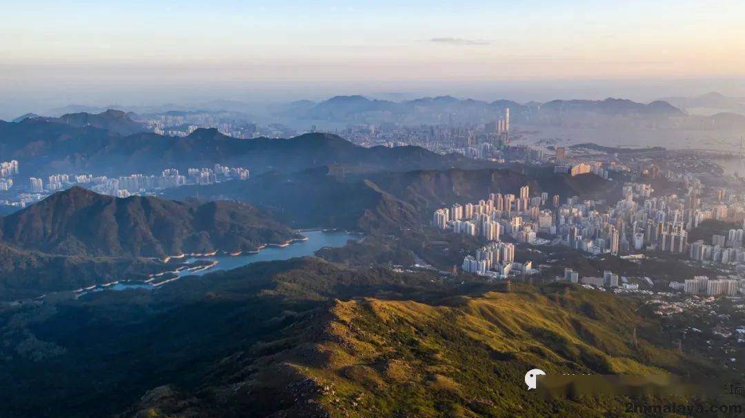 2019年香港开奖结果记录，一场数字与梦想的交织2019年香港开奖记录