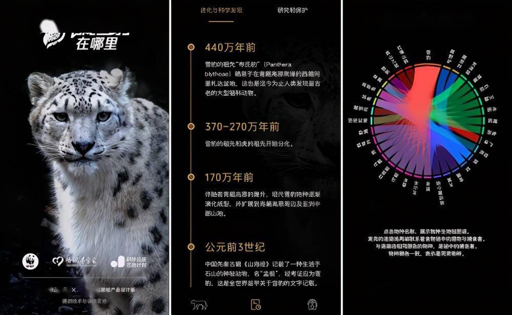 探索数字世界的奥秘，红五图库、天牛与神秘的天97654红五图库天牛图库天97654今天彩报