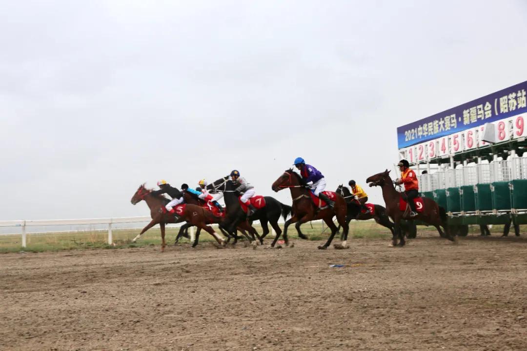 探索香港马会全年资料大全，历史、成就与未来展望香港2021年马会资料大全