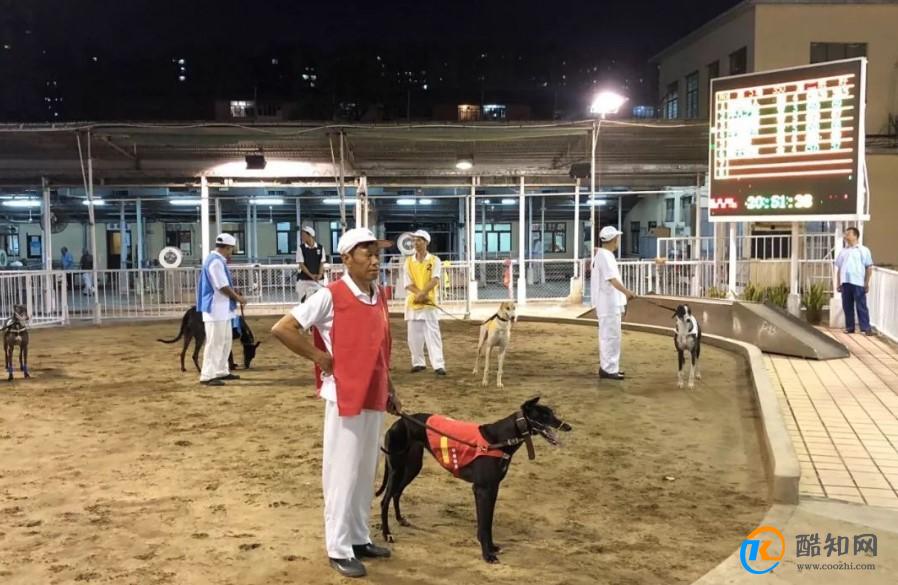 探索香港马会开奖直播，一场精彩绝伦的赛事盛宴香港马 会开奖结果新闻