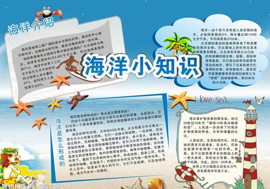 探索知识海洋,正版免费资料大全945的魅力与价值白小组正版免费资料大全