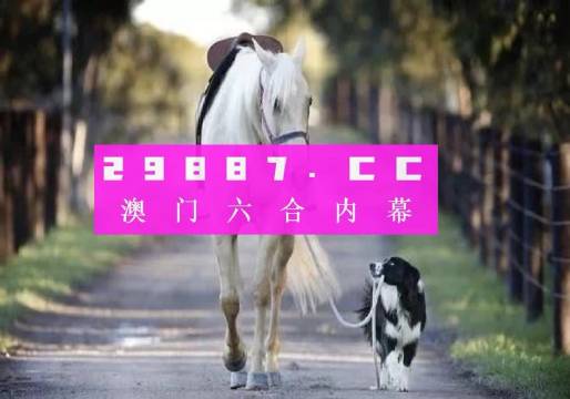 探索49码资料图库,解锁数字时代的编码奥秘49码资料图库网