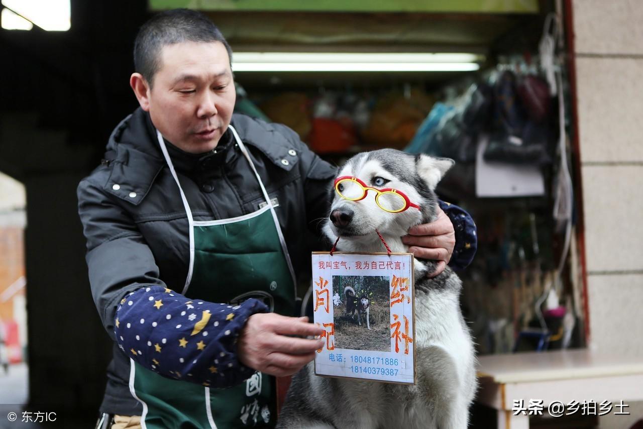 揭秘四肖选一中的中特之道—深度解析与策略分享四肖选一肖中特特官方版预约