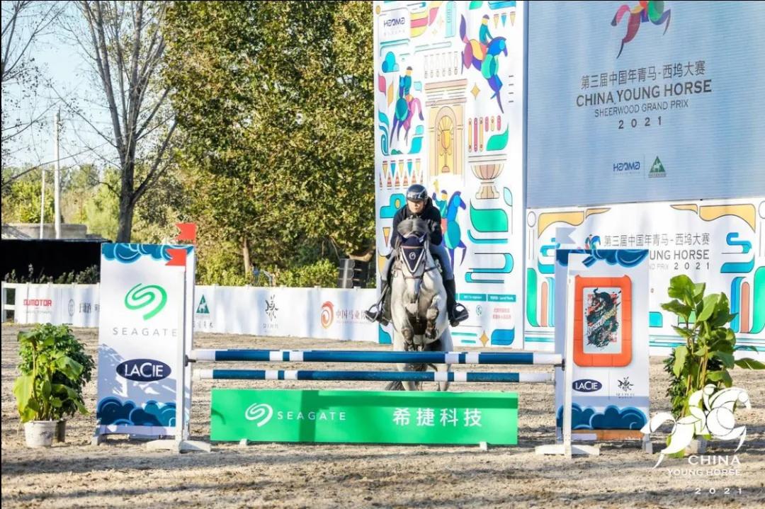 探索香港马会全年资料大全，历史、成就与未来展望香港2021年马会资料大全