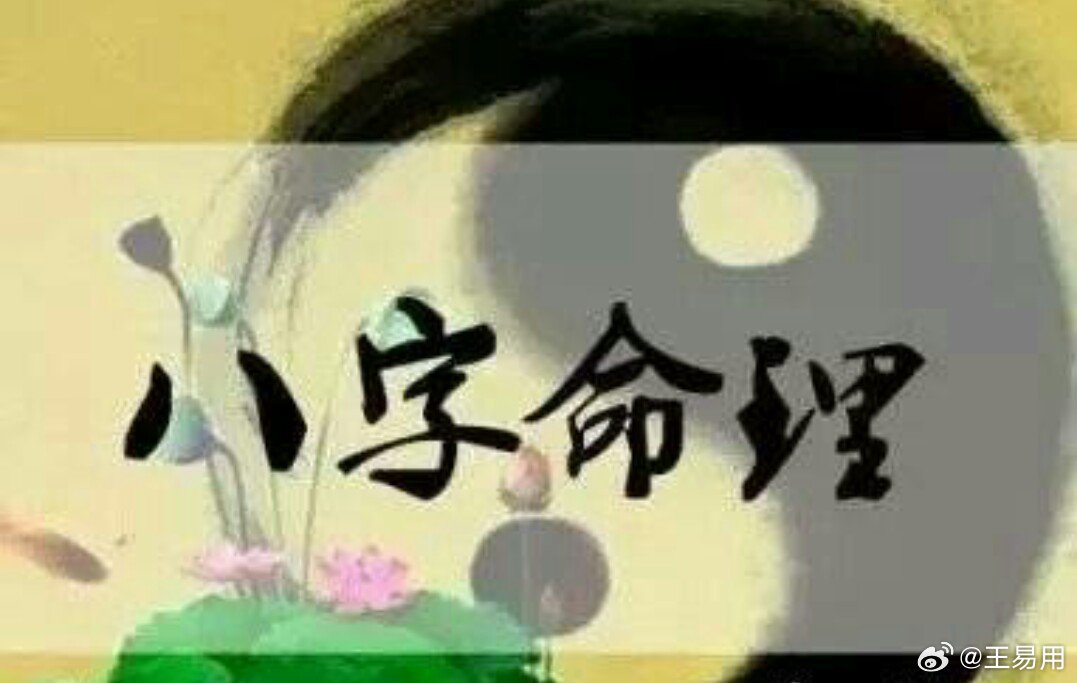 一肖一中，持之以恒的智慧—探索生肖与命运的微妙联系一肖一码中持码