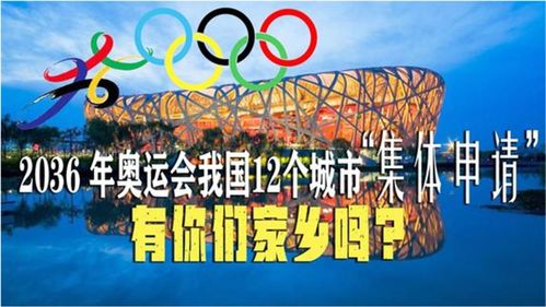 2036年澳门资料大全，免费完整版指南2023澳门资料大全免费完整版,14号