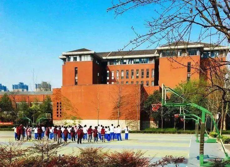 今日必中，揭秘四不像图的神秘面纱今天必中四不像图今期