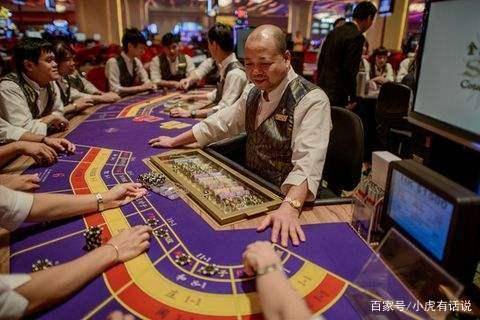 揭秘大赢家高手心水论坛，赌场风云中的智慧与策略大赢家心水高手精华