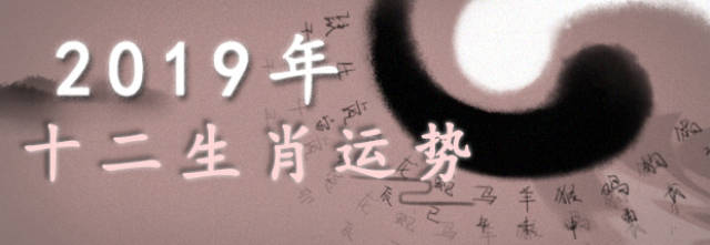 2019年一码生肖精准预测，揭秘数字背后的奥秘一肖一码免费,公开