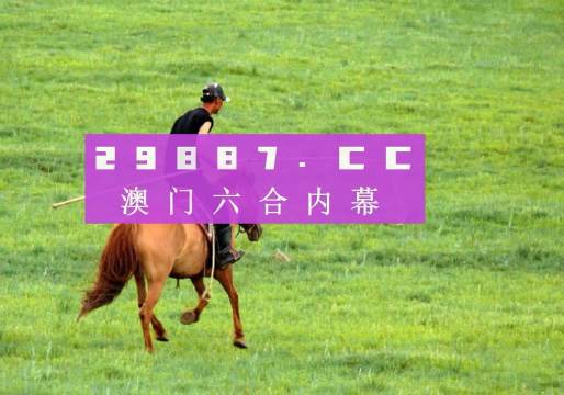 2036年新澳门开奖结果查询，数字背后的故事与未来展望2023的新澳门开奖结果查询四不像
