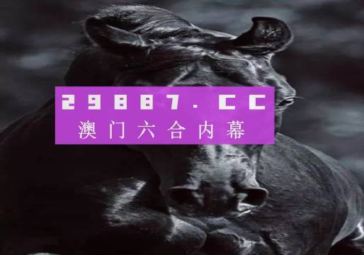 探索新澳彩2013年最新开奖记录，揭秘数字背后的奥秘新澳门开奖记录
