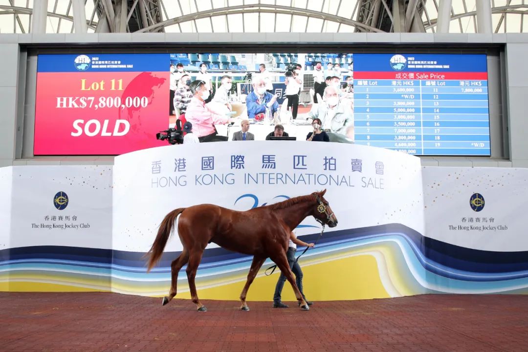 2019香港马会全年资料大全，精彩赛事与辉煌成就的全面回顾香港2021年马会资料大全