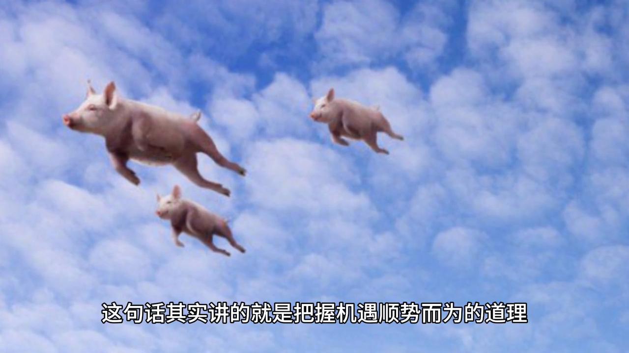 今晚揭晓，香港本期开奖结果深度解析香港本期开奖结果今晚77766