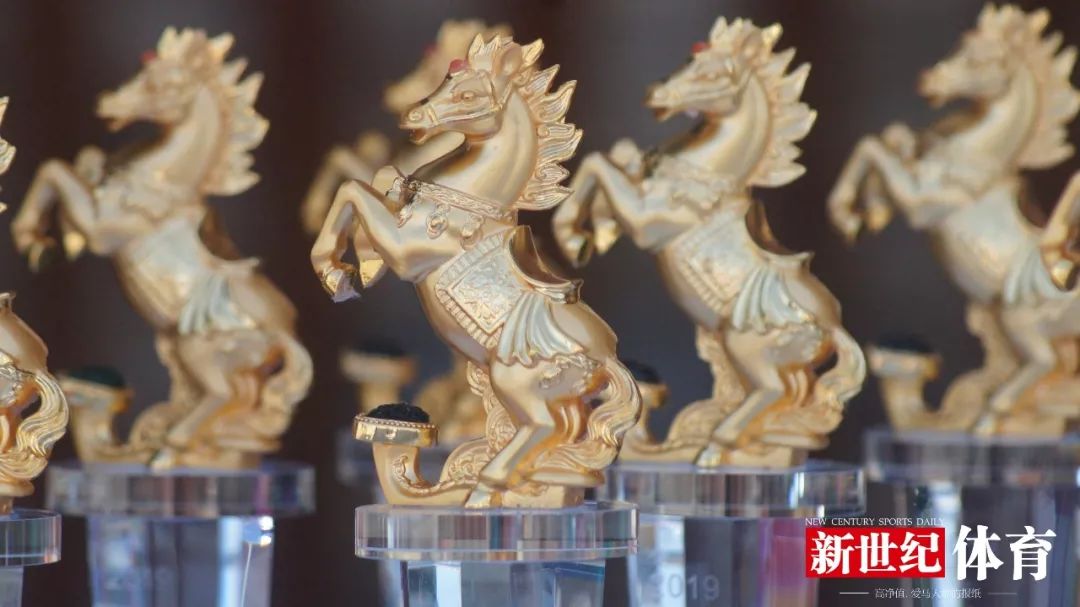 澳门特马2019-回顾与展望，一场数字的盛宴和希望之光的闪烁澳门特马开奖结果2020 开奖记录_