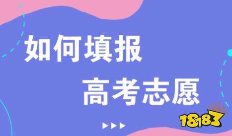 管家婆精准资料大全，实用性与准确性并重，助力彩民决策