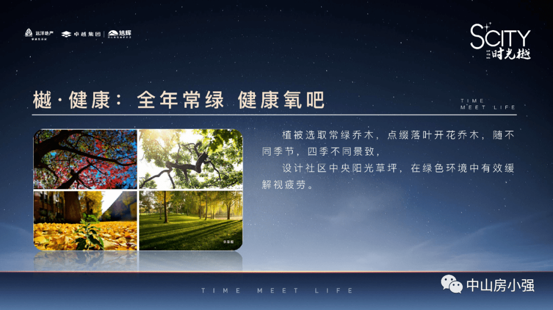 澳门二四六天天资料大全203，全面解析与实用指南2025新澳门天天精准免费大全
