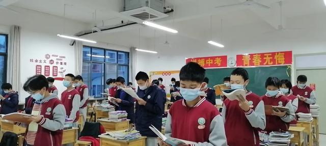 免费公开的二四六资料大全，解锁知识与信息的宝库二四六资料大全免费公开1一150