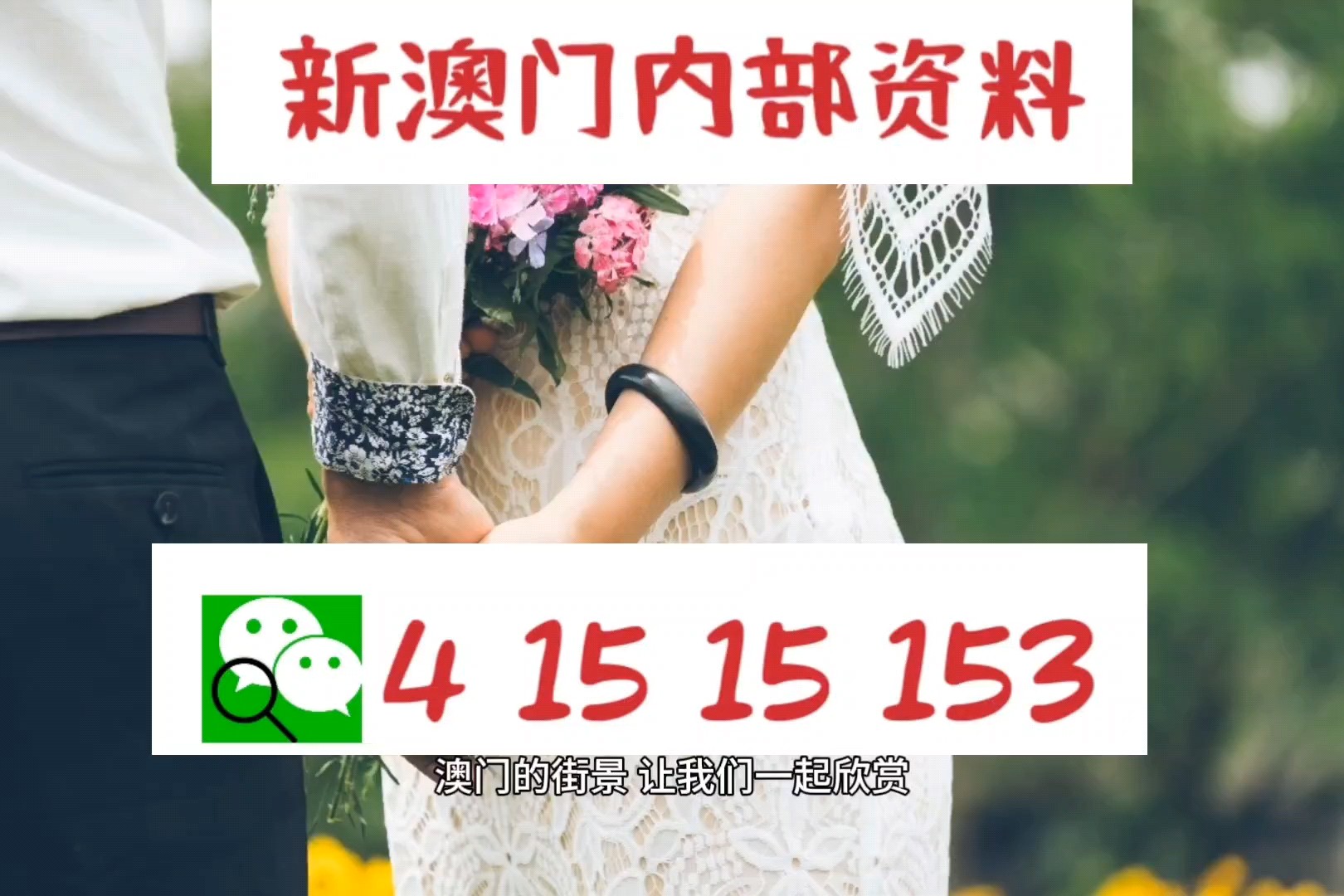 澳门精准资料，期期的精确预测与解读新澳门精准免费大全