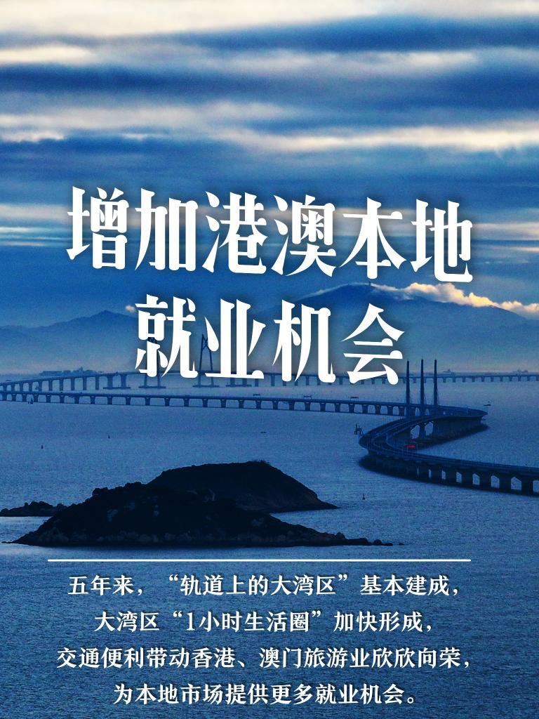 2036澳门资料大全，免费完整版，揭秘未来与机遇的钥匙2023澳门资料大全免费完整版269期