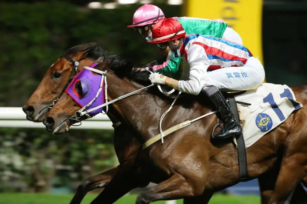 2019年香港马会开奖记录与结果分析2019年香港码开奖记录