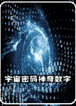 探索数字背后的秘密，揭秘www.2935067814cns的独特魅力