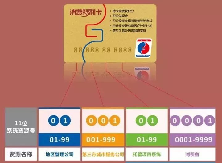 免费精准新奥生肖卡，解锁你的幸运密码新奥是什么意思?