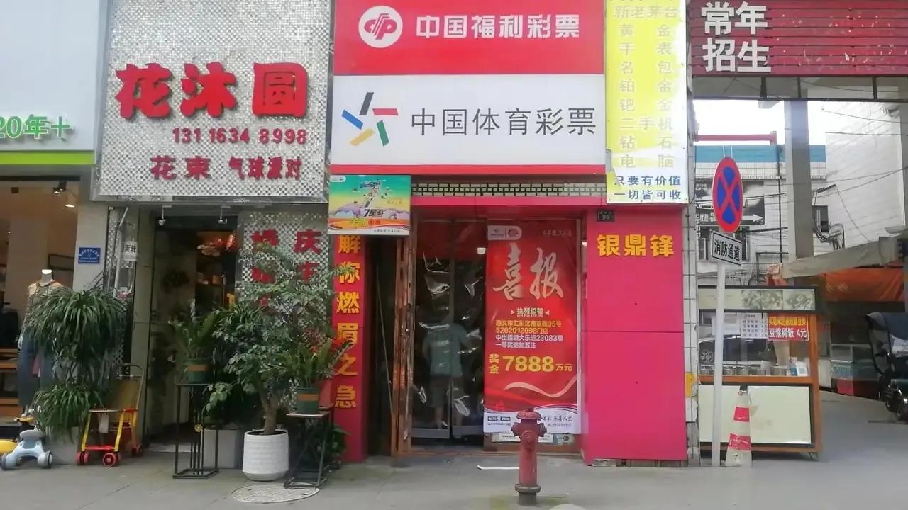揭秘香港今期开奖结果，一场数字与梦想的较量香港今期开奖结果是什么号码