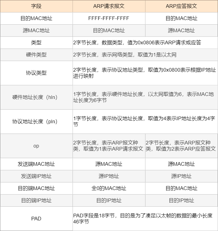 探秘四不像的奇妙世界，真实图片大全解析四不像图片大全真实1