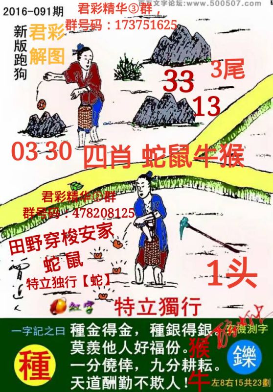 今期高清跑狗玄机图，揭秘与解读今期跑狗玄机图跑狗网_