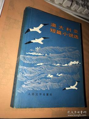 澳大小说网，文学的海洋，创意的无垠之地澳大小说网之清缘超市