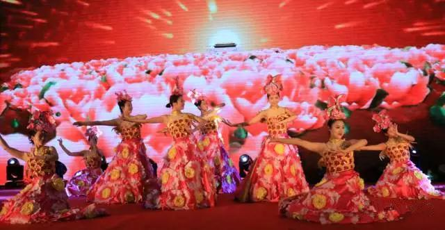 中华彩摘网，汇聚多彩文化，点亮智慧之光中华彩吧下载安装