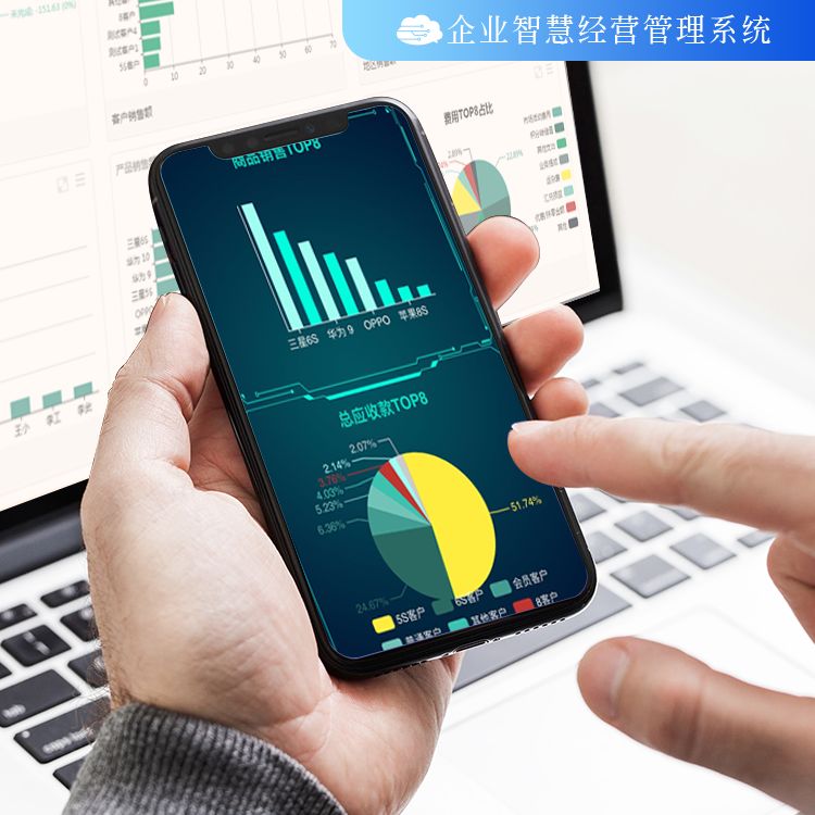 管家婆全年资料，企业运营的智慧之眼管家婆的